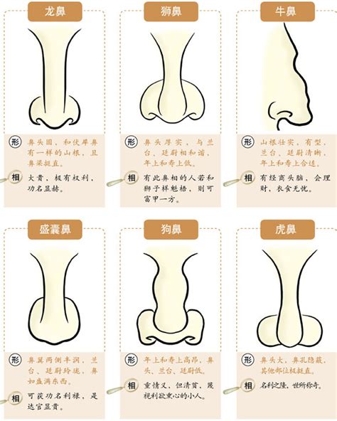 鼻生瘡面相|面相學說講解——30種常見的鼻相狀態